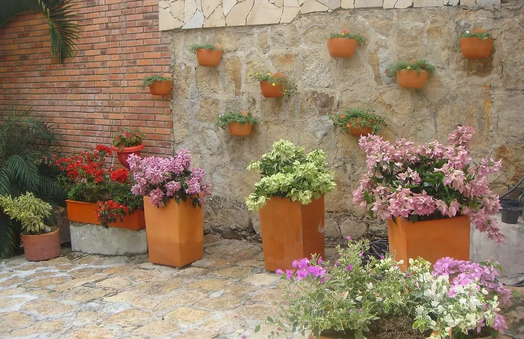 Hotel Villa Amparo-1